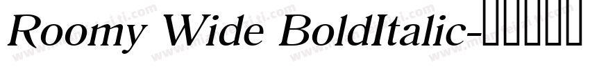 Roomy Wide BoldItalic字体转换